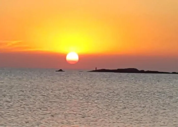 Complex Nestinarka * 茨雷沃