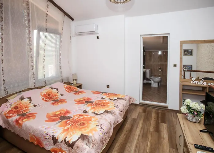 Complex Nestinarka *