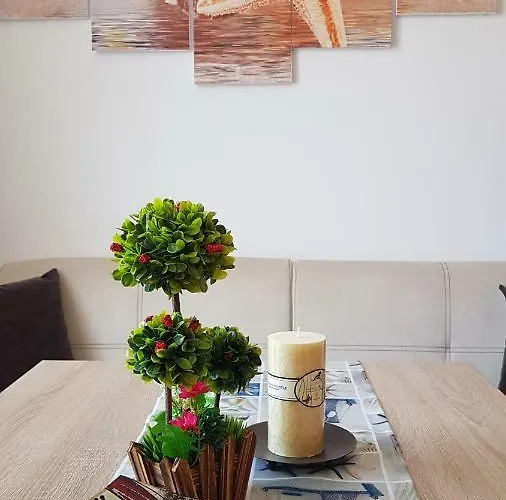 公寓 Complex Nestinarka *