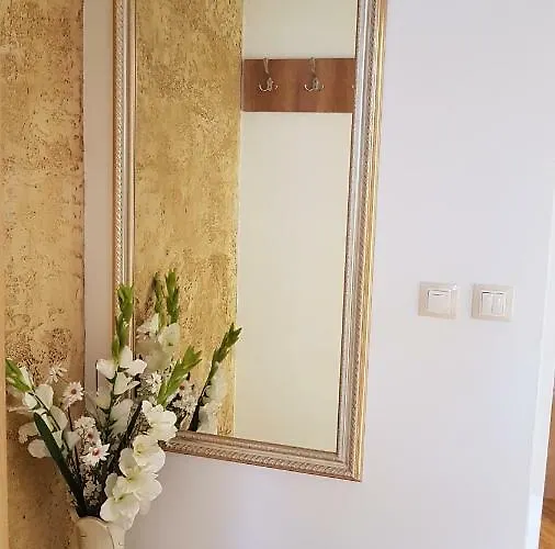 Complex Nestinarka * 茨雷沃