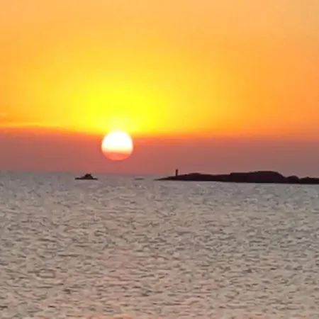 Complex Nestinarka * 사레보