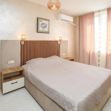 Complex Nestinarka *