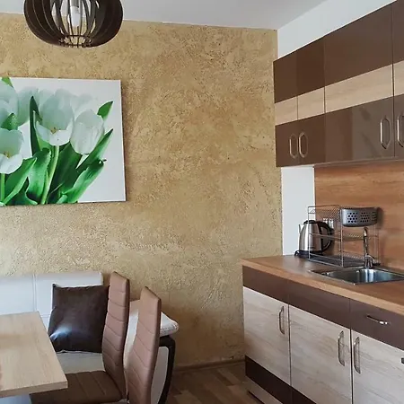 Complex Nestinarka 사레보