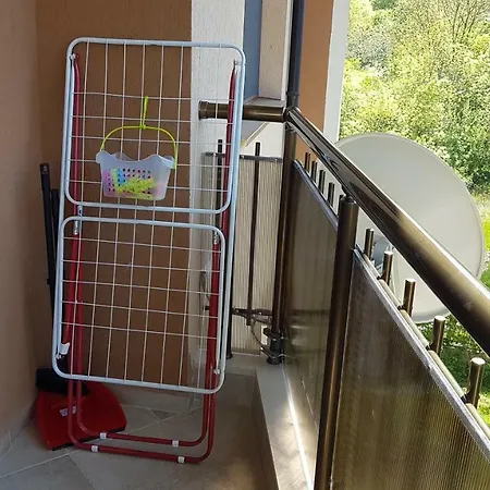 Complex Nestinarka 사레보