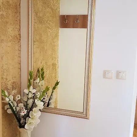 Complex Nestinarka * 사레보