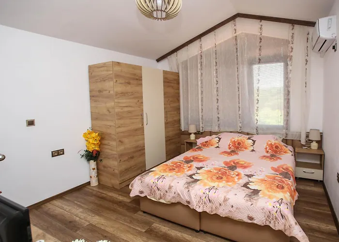 Complex Nestinarka ツァレヴォ