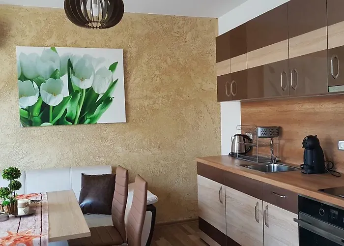 Complex Nestinarka ツァレヴォ